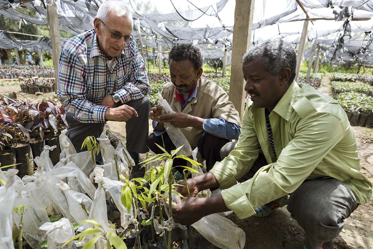 Kurt Pfister, de Green Ethiopia, estun amoureux de l’Ethiopie et a faitde sa vie un combat pour lareforestation. « Mister Kurtu »,comme on l’appelle sur place,voyage plusieurs fois par an sur lesdifférents sites afin de suivre lesprogrès effectués par les équipessur place.