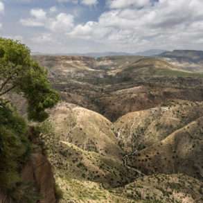 Brent Stirton : 90% couverture forestière a disparu en Ethiopie.
