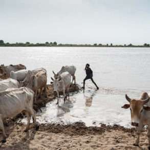 FAUSTO PODAVINI. Reportage en Ethiopie, vallée de l’Omo