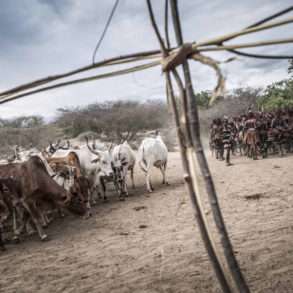 FAUSTO PODAVINI. Reportage en Ethiopie, vallée de l’Omo