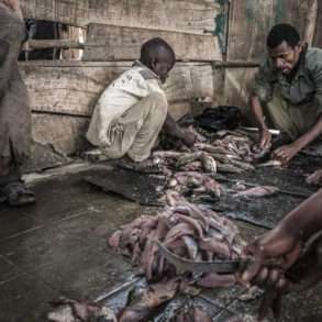 FAUSTO PODAVINI. Reportage en Ethiopie, vallée de l’Omo