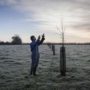 Phil Hatcher-Moore: a biodynamic farmer replanting hedgerows to recreate wooded countryside