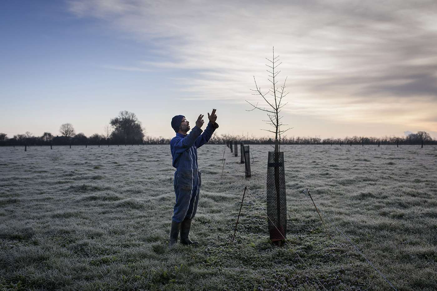 Antony Bureau, in his field in L’Angevinière in the Mauges region. Having taken over his parents’ farm, this young biodynamic farmer began replanting hedgerows across his land in order to recreate the sort of wooded countryside that would benefit his 33 cows.