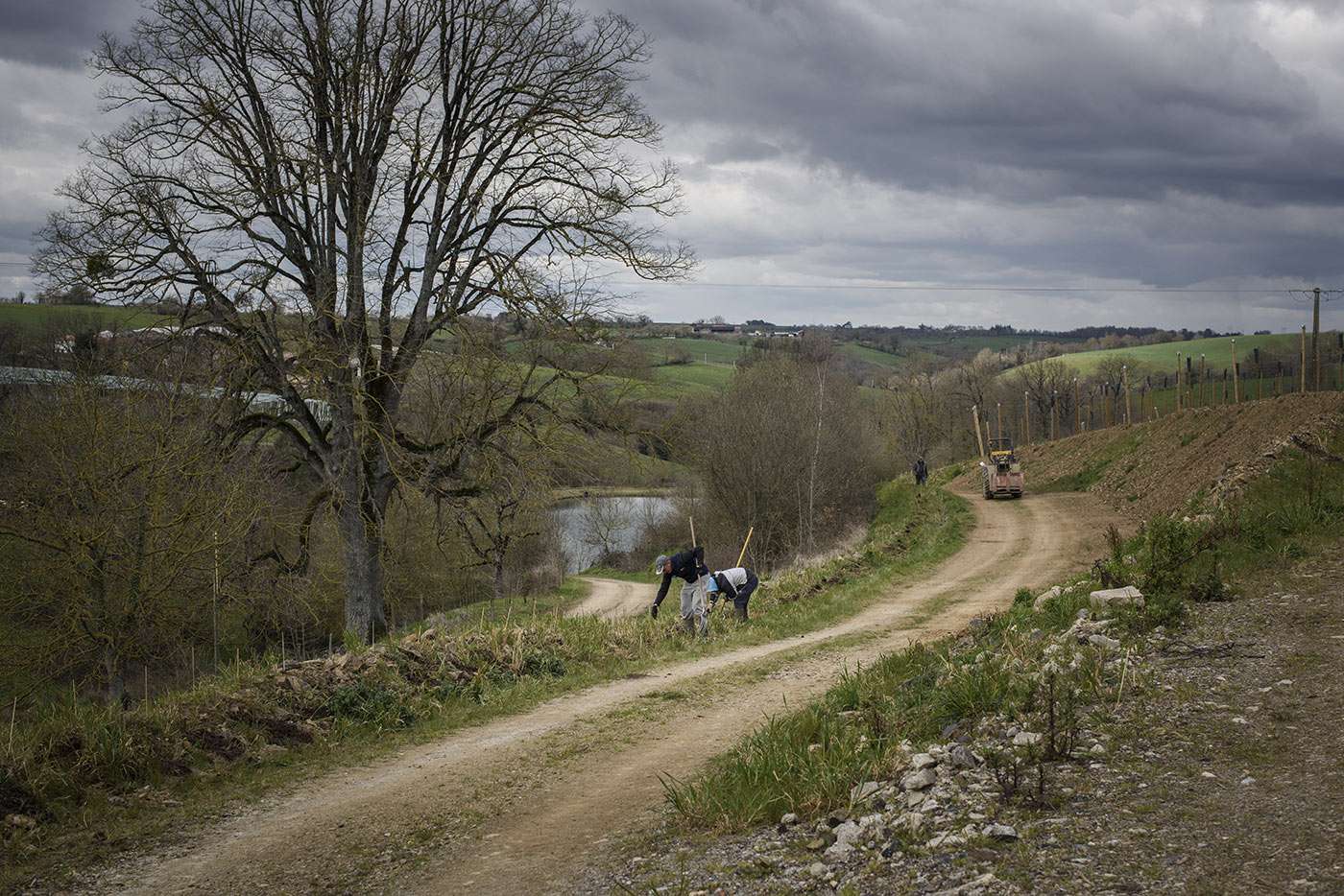 A la Pommeraye, dans le Maine-et-Loire, Baptiste Boré est un jeune éleveur bio. Son but ? Replanter toutes les haies que son grand-père avait arrachées lors du remembrement des terres. Il a passé un accord avec la commune voisine pour faire venir brouter ses vaches sur des champs qui ne lui appartiennent