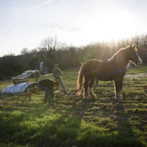 Phil Hatcher-Moore: a crop farmer and tree planter in France