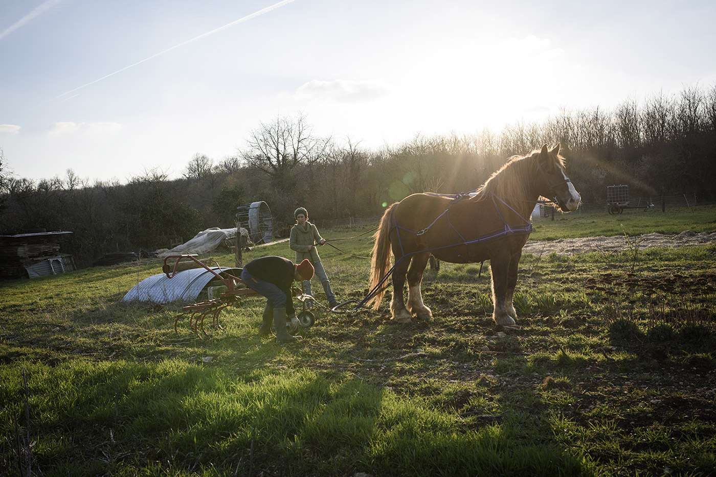 Lucie Moy is a market gardener in Bioussac. After spending a long time travelling, she met her husband Jonas and decided to return home to take over her father’s farm, where she primarily grows cereal crops and runs a small pop-up side business selling buckwheat pancakes.