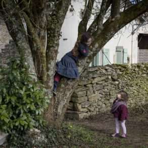 Phil Hatcher-Moore : des enfants jouent dans les arbres, expérience de nature