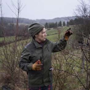 Phil Hatcher-Moore: Sylvie Monier teaches her fellow farmers about the benefits of agroforestry.