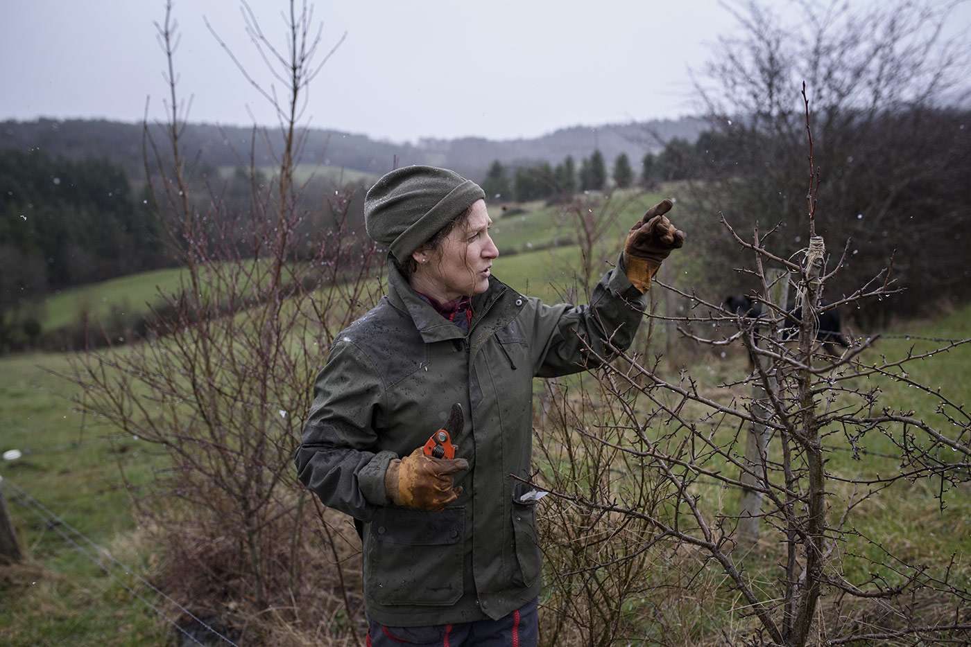 En plus de son activité d’éleveuse, Sylvie Monier, prix Terre de Femmes 2008, a cofondé l’AFAC (avec laquelle travaille la Fondation Yves Rocher dans la plantation de haies) et va régulièrement former et sensibiliser ses pairs agriculteurs à l’importance et aux avantages de l’agroforesterie.