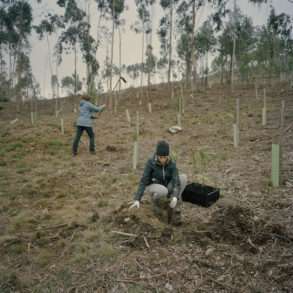 Un réseau forestier Nature 2000 au Portugal préservé par l’association Futuro et la Fondation Yves Rocher, mission photo Juan Manuel Castro Prieto