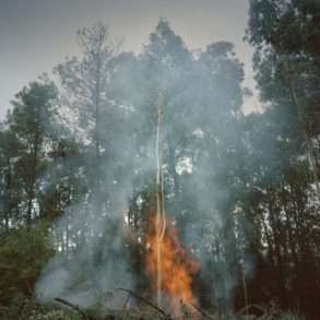 L’activité papetière est importante au Portugal. Eucalyptus et feux de forêts, une mission photographique de Juan Manuel Castro Prieto