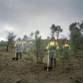Lutte contre les feux de forêts au Portugal une mission photographique Juan Manuel Castro Prieto