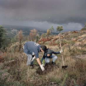 Plans en pépinières en vue de la reforestation au Portugal avec l’association Futuro et la Fondation Yves Rocher. Un reportage photographique Juan Manuel Castro Prieto