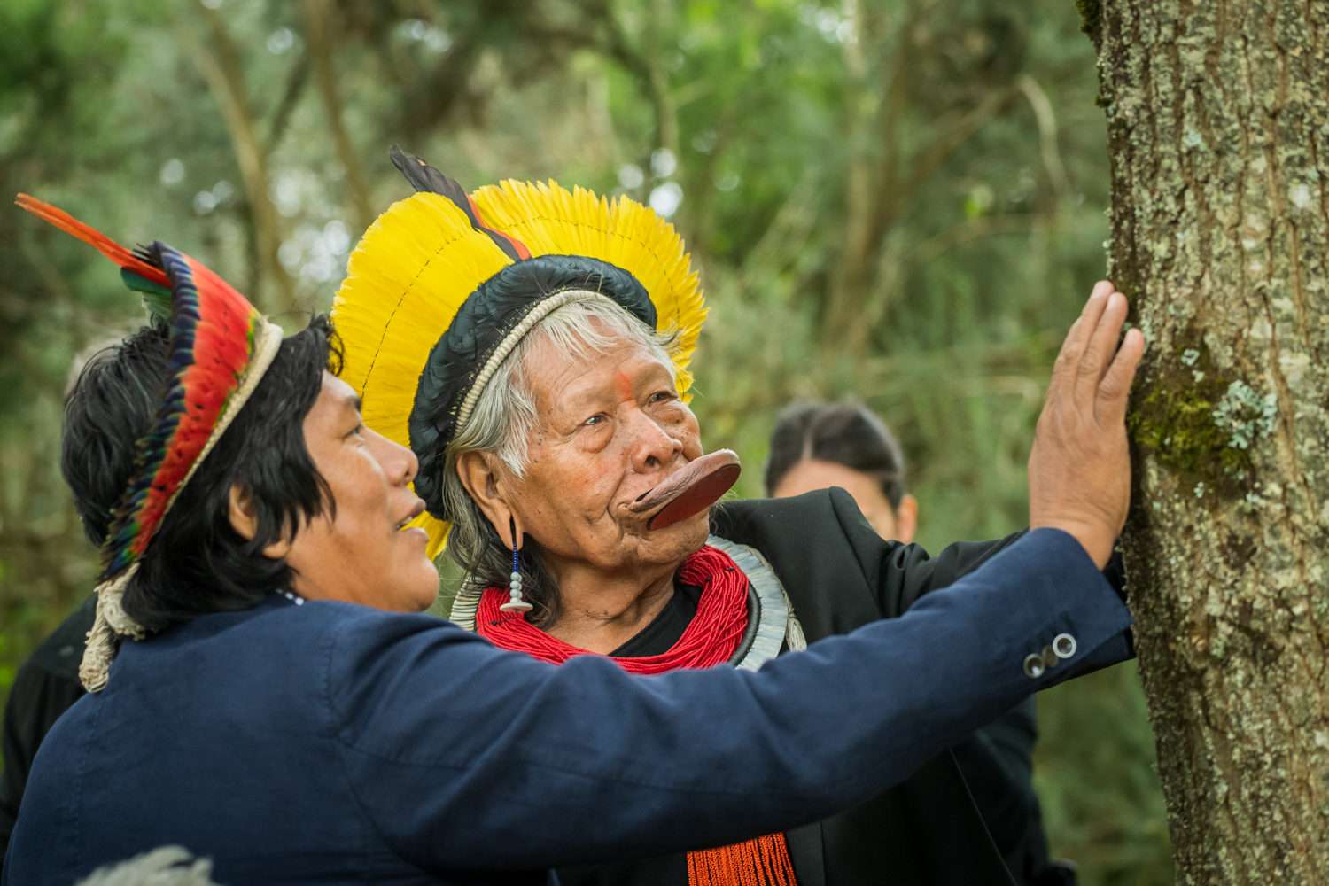Meet 3 Women in Brazil Who Are Protecting the  Rainforest — and  Indigenous Rights