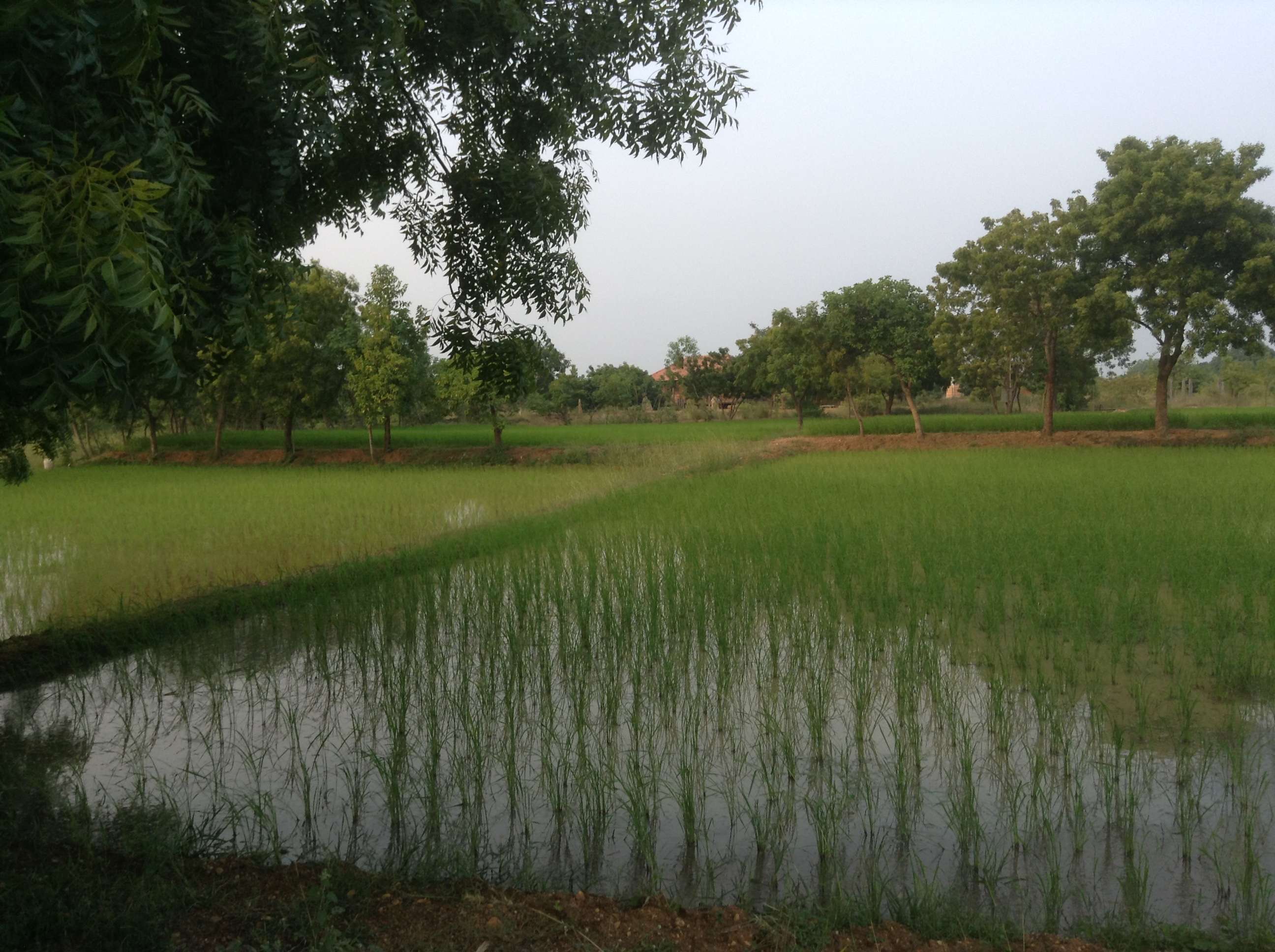 India_UK