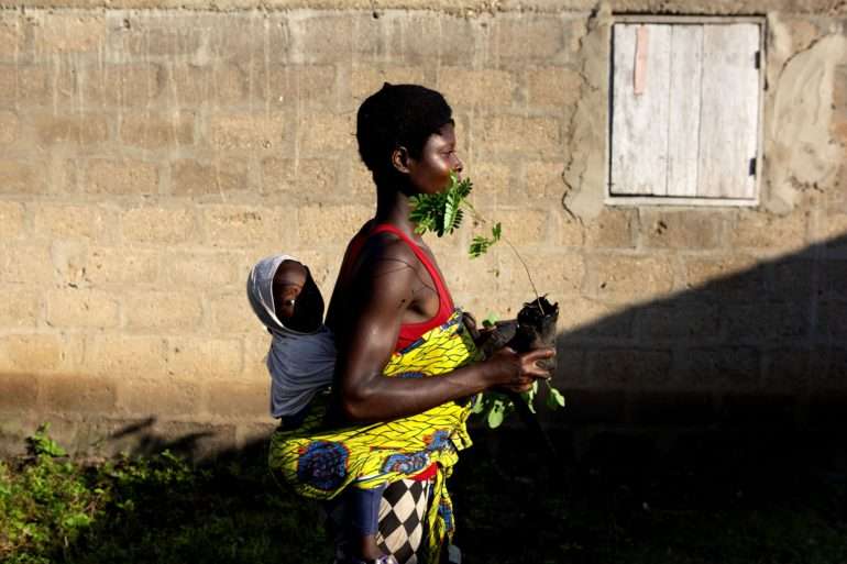 In togo, families plant fertility trees thanks to the Yves Rocher Foundation