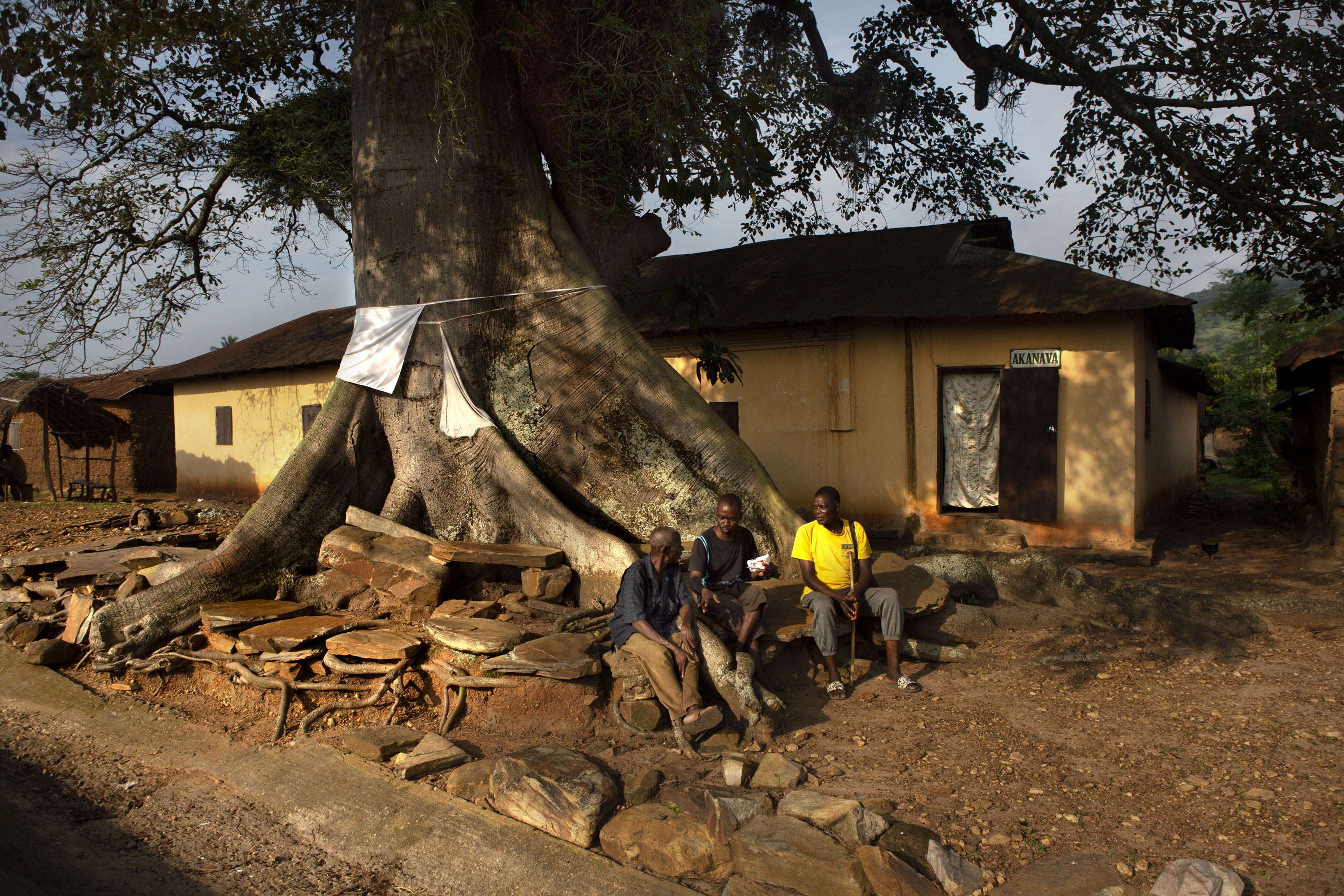 Despite the speed of deforestation across Togo, trees remain symbols of fertility and longevity in the collective consciousness. At the gateway to Akala, this tree encircled by white flags is seen as sacred. When the road around the village was built two years ago, its route was diverted to preserve the tree.