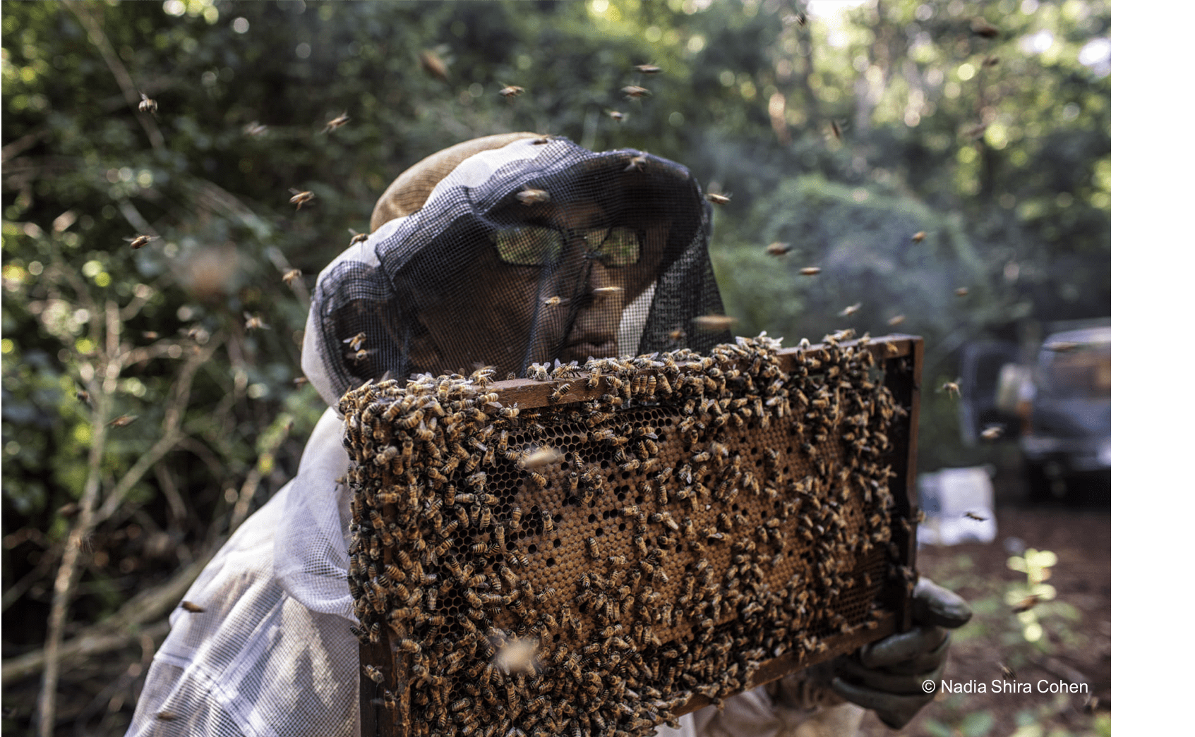 Carlos Rafael Ortegon Cervera souffle sur ses abeilles pour les déplacer. Il possède 600 ruches, dont beaucoup se situent sur des propriétés mennonites, où son père possédait des abeilles bien avant que la secte religieuse n’arrive, affirme-t-il.