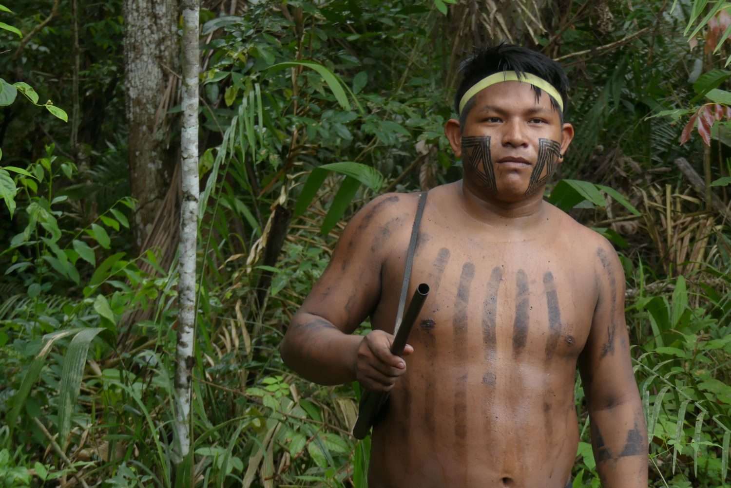 Amazonie communauté Xikrin se bat contre son patrimoine forestier en péril