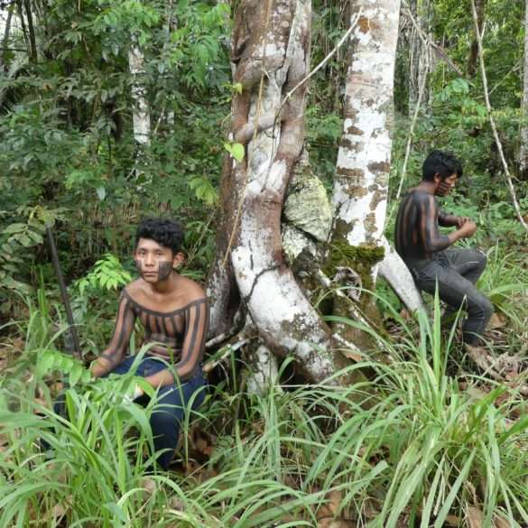 Amazonie et déforestation, le combat des populations