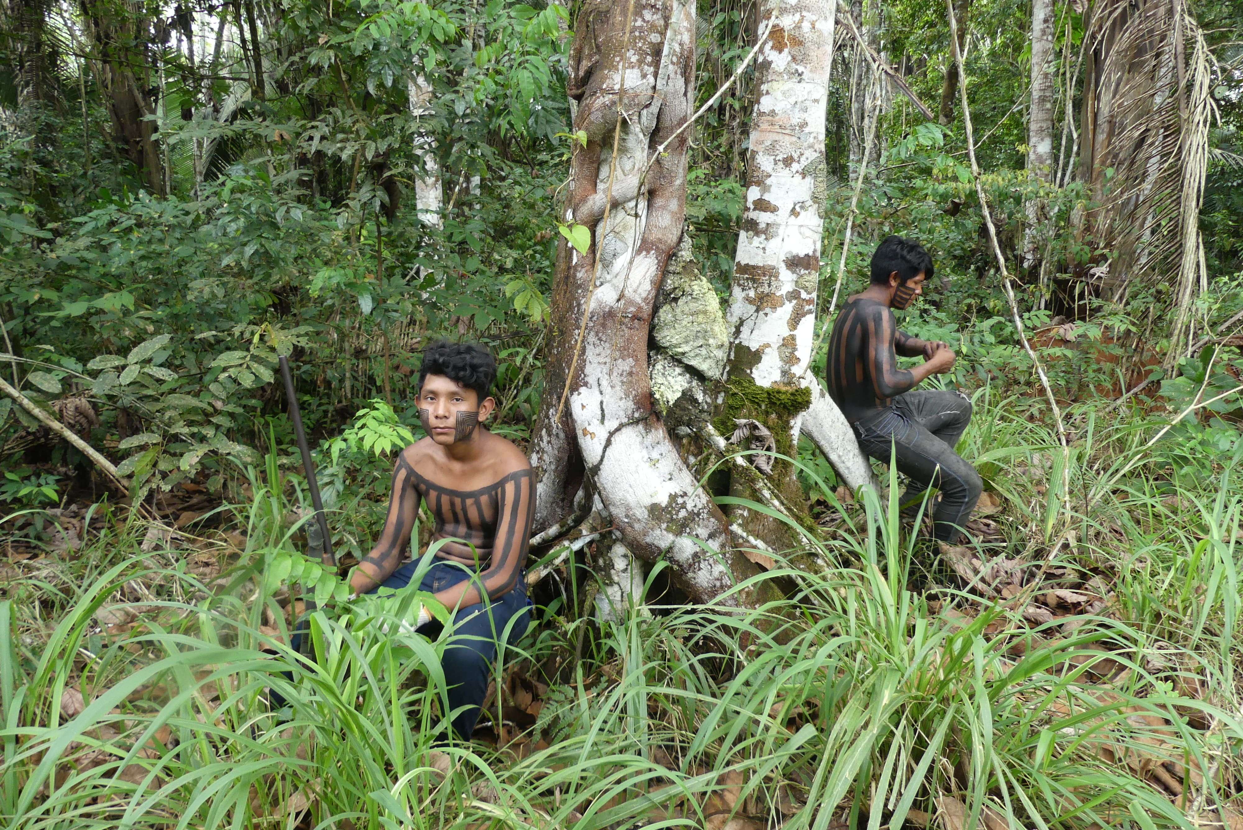 Amazonia and deforestation, the fight of the native populations
