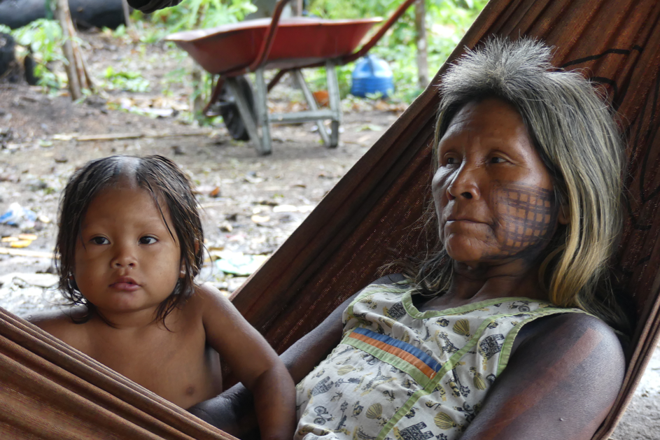 Amazonie communautés indigènes