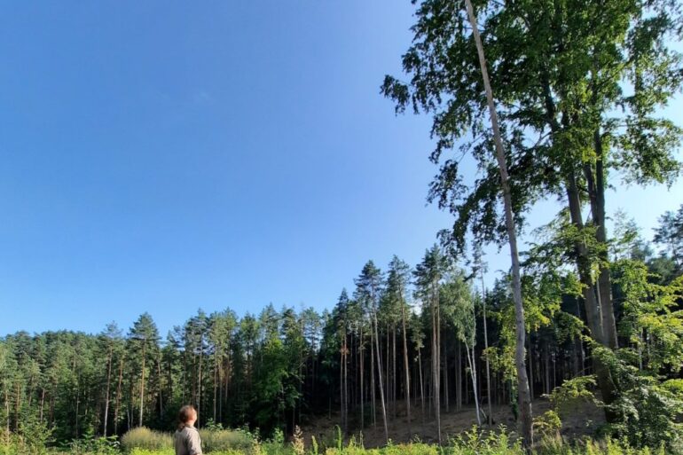 20210719 172359 1 opt