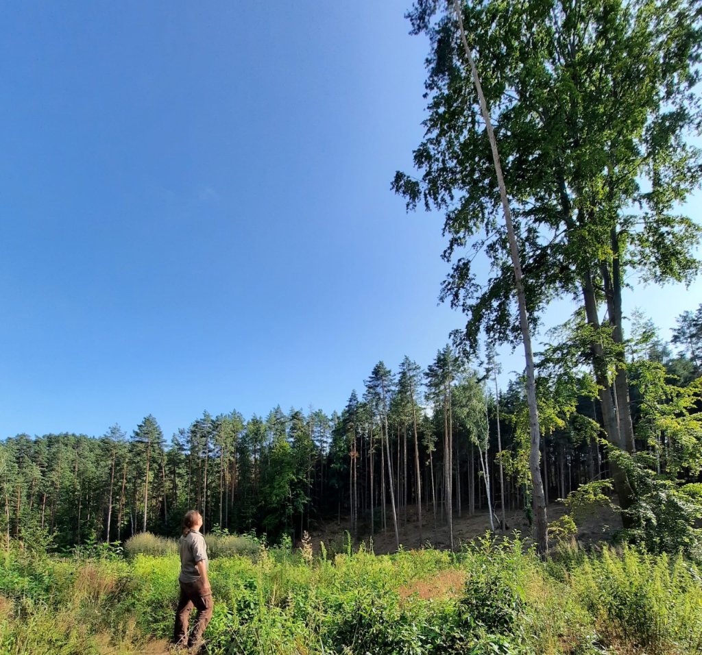 20210719 172359 1 opt