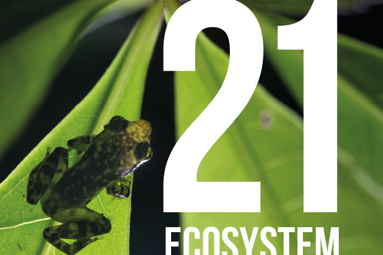 21 ecosystem - 30 years Foudation