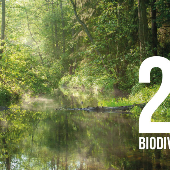 25 biodiversity - 30 years Foundation