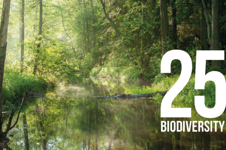 25 biodiversity - 30 years Foundation