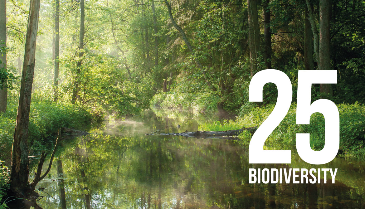 25 biodiversity - 30 years Foundation