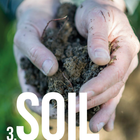 3 soil - 30 years Foundation