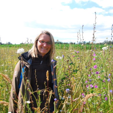 Simone Kern / biodiversité locale / Préservation de l’environnement/ protection des insectes pollinisateurs