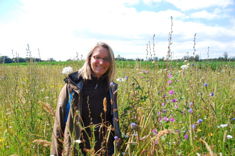 Simone Kern / biodiversité locale / Préservation de l’environnement/ protection des insectes pollinisateurs