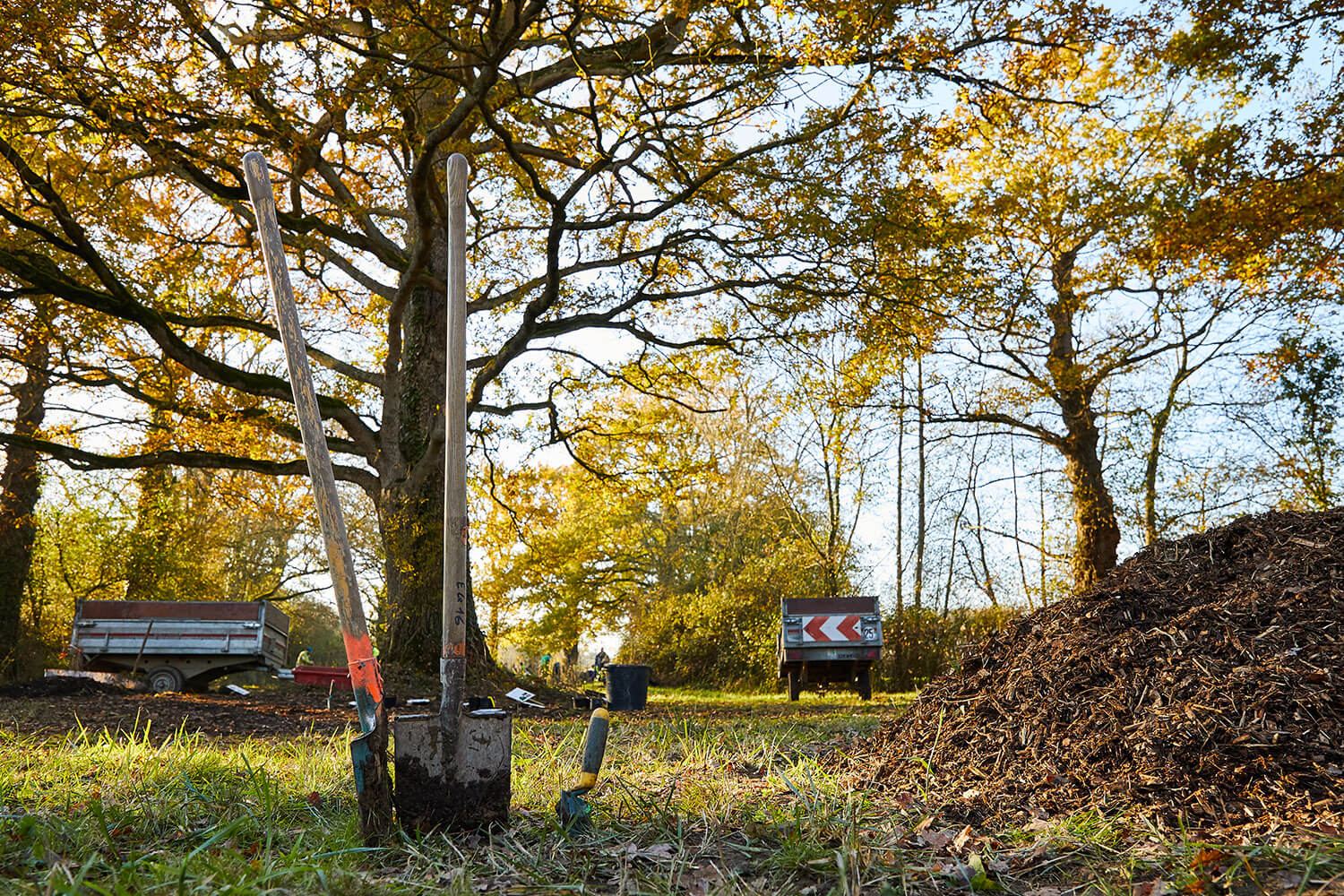Projet de plantation soutenu par la Fondation Yves Rocher arbres
