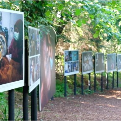 Installation en plein air de l'expo photo La Gacilly, célébrant la biodiversité