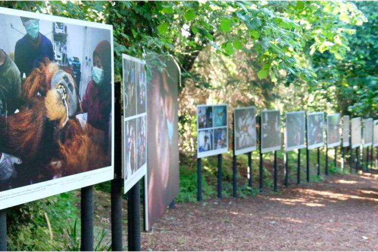 Installation en plein air de l'expo photo La Gacilly, célébrant la biodiversité