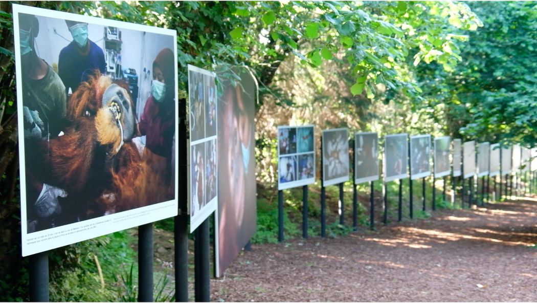 Installation en plein air de l'expo photo La Gacilly, célébrant la biodiversité