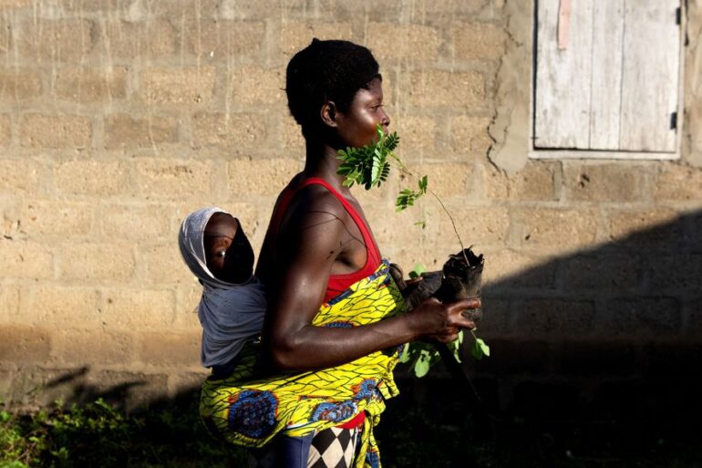 Lauréates du programme Terre de Femmes menant des actions de reforestation soutenues par la Fondation Yves Rocher