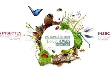 Prix Terre de femmes international 2024 insectes
