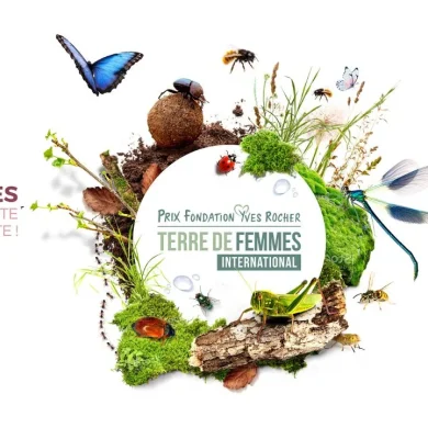 Prix Terre de femmes international 2024 insectes