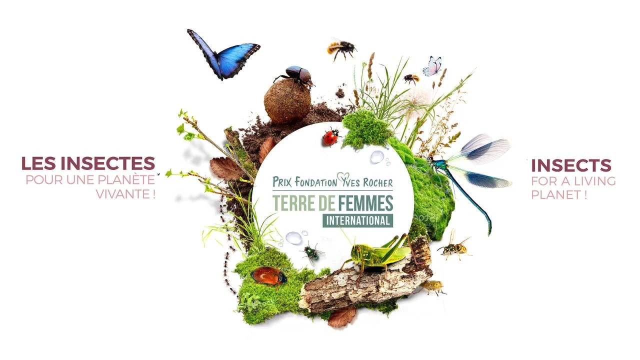 Prix Terre de femmes international 2024 insectes