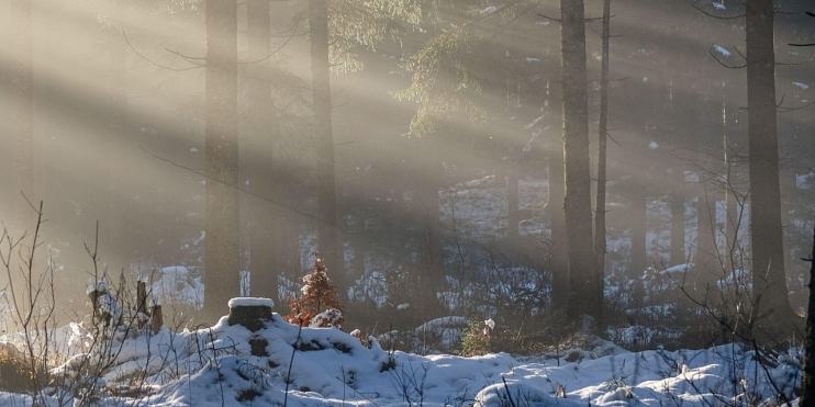 Banniere scaled opt (1)