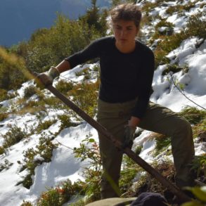 reforestation en foret de montagne suisse