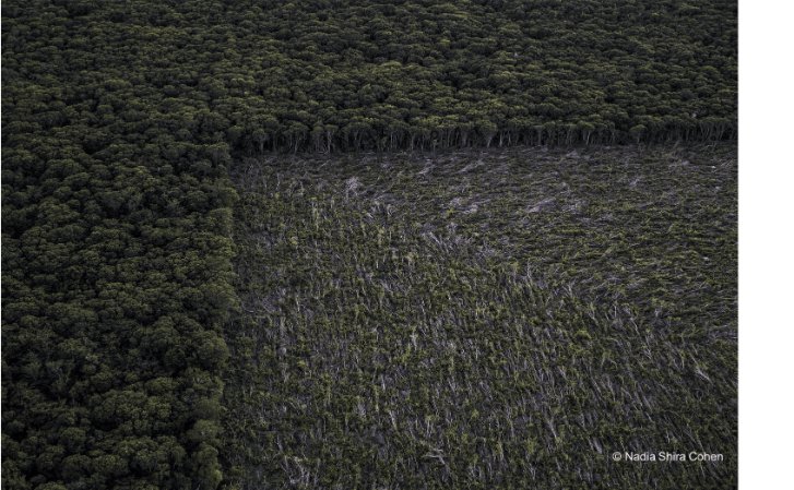 An aerial view of deforestation in Campeche. In 2017, the state lost 70,000 hectares of forest cover according to Global Forest Watch.