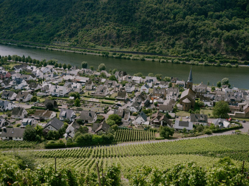 FYR pavel moiseev qQTnmBumjwI unsplash