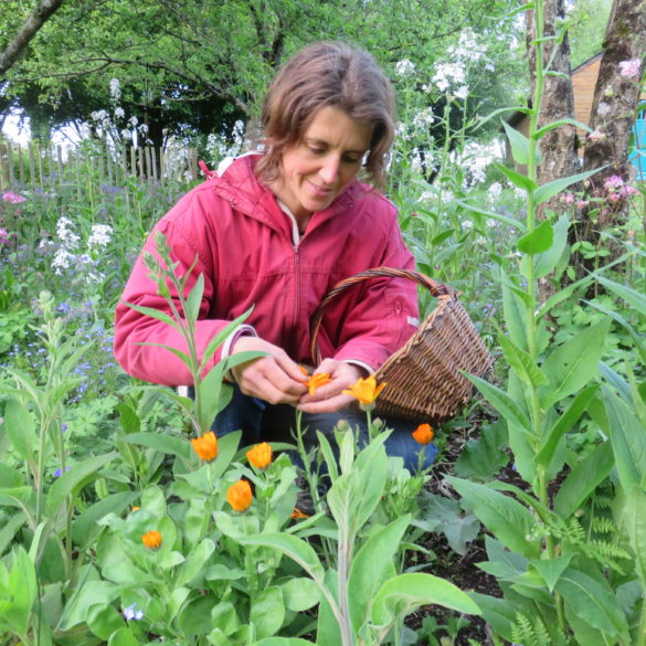 Frédérique-Déroche-Association-Des-Graines-et-des-Brouettes-Jardin-pédagique-nature-ateliers