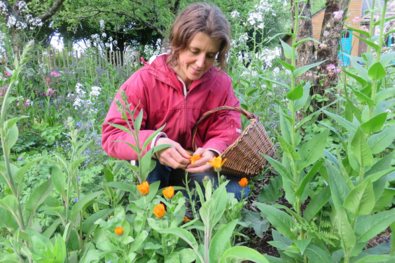 Frédérique-Déroche-Association-Des-Graines-et-des-Brouettes-Jardin-pédagique-nature-ateliers