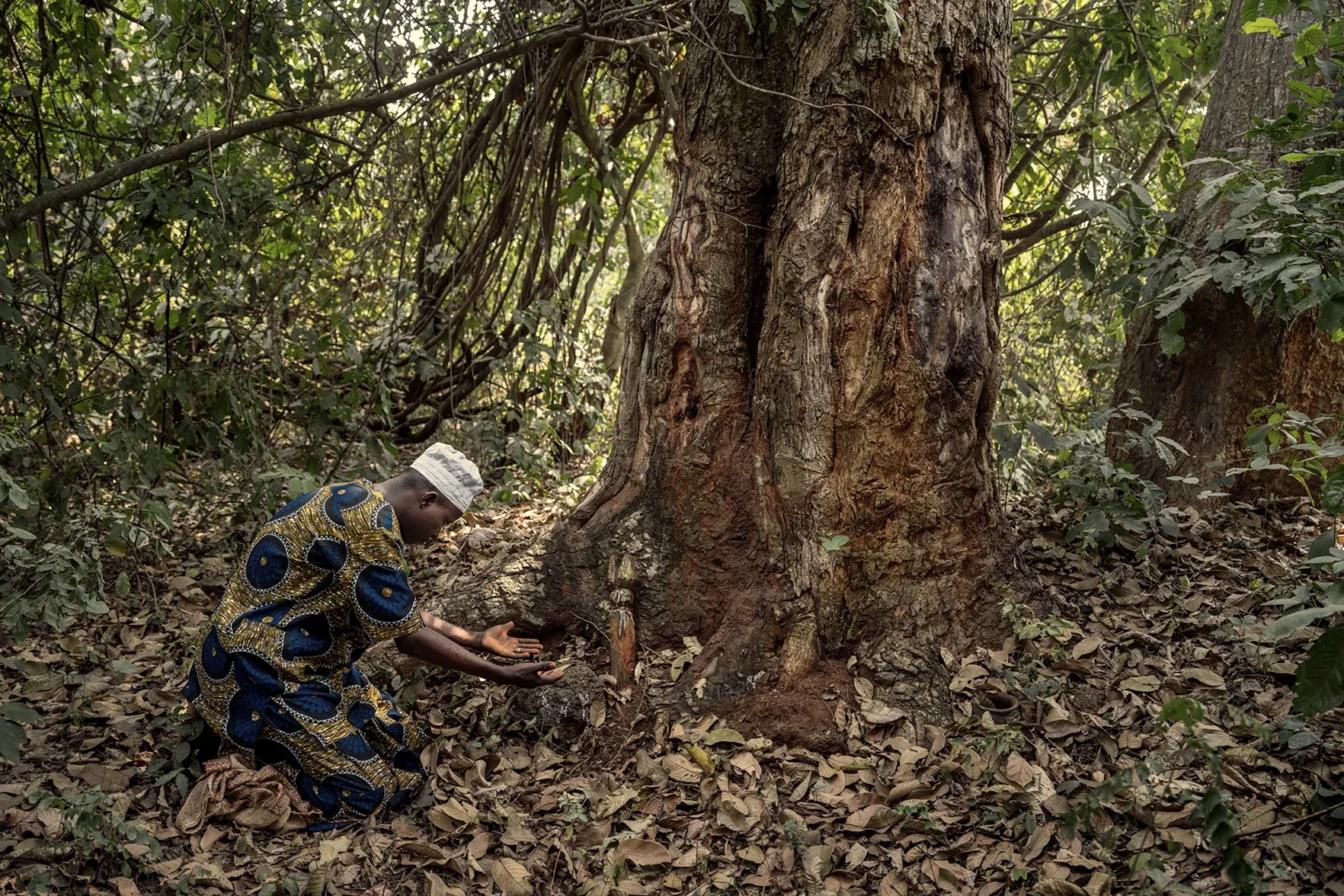 Les forêts sacrées du Benin - photoreportage de Gaël Turine pour Visa pour l'Image x Fondation Yves Rocher
